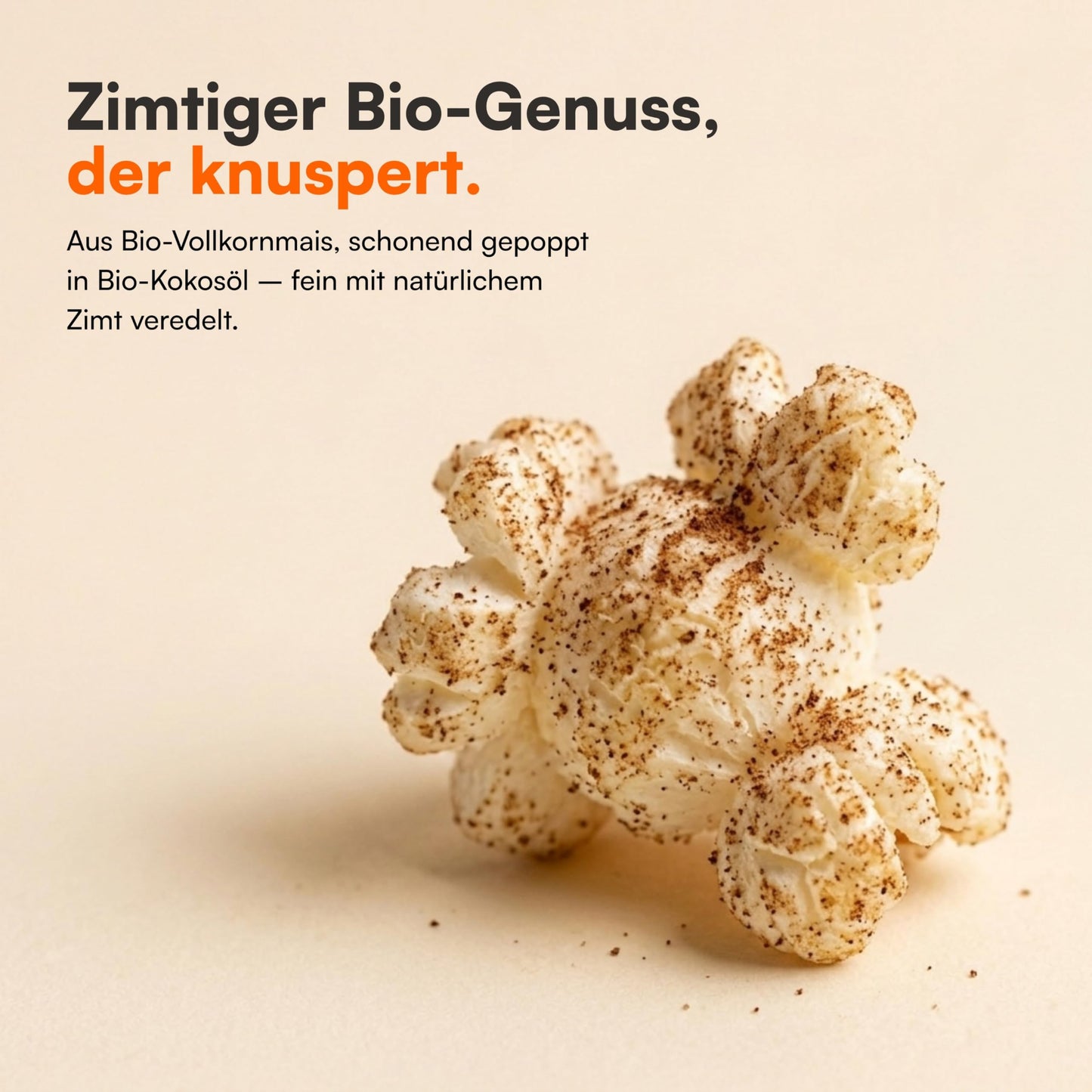 Nahaufnahme von Bio Popcorn Zimt aus Vollkornmais