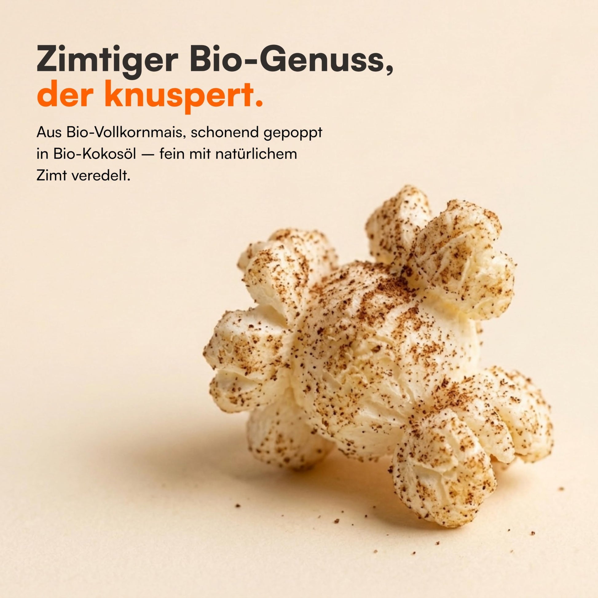 Nahaufnahme von Bio Popcorn Zimt aus Vollkornmais